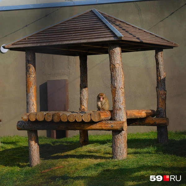 В домике | Источник: Тимофей Калмаков / 59.RU