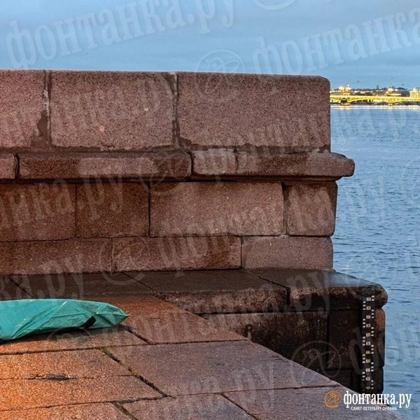 Источник: Валентин Егоршин / «Фонтанка.ру»