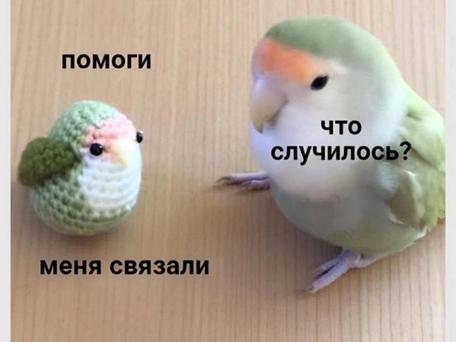 Нужно спасать | Источник: Городские медиа