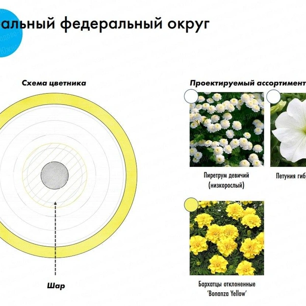 Источник: ЕИС «Закупки»