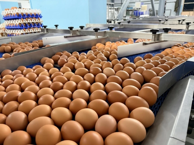 Машинное «зрение» гарантирует высокое качество продукции | Источник: «Чебаркульская птица»