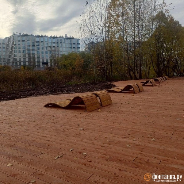 Источник: Ирина Корбат / FONTANKA.RU