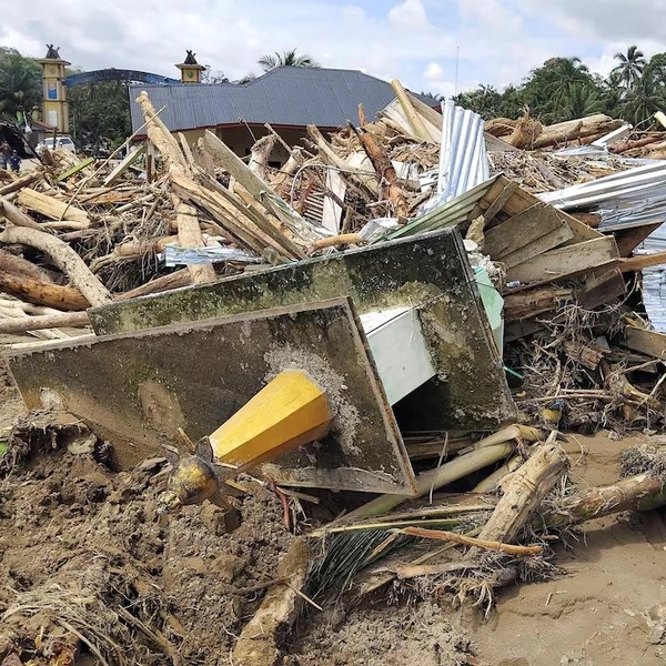 Источник: Hendri Purchase / Reuters