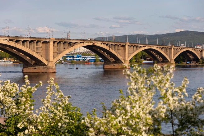 Солнечных дней станет больше | Источник: Мария Ленц / NGS24.RU