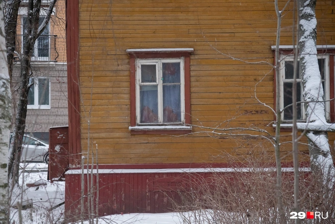 Источник: Иван Митюшёв / 29.RU