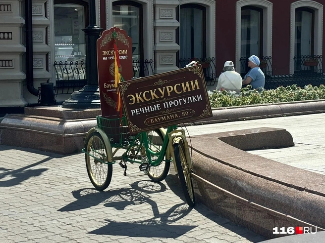 Источник: Регина Алтынбаева / 116.RU