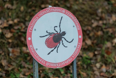 Некачественные таблетки Бравекто изъяты в Черноземье