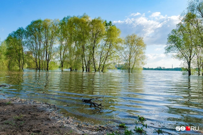 Во время большой воды прогуляться не получится | Источник: Тимофей Калмаков