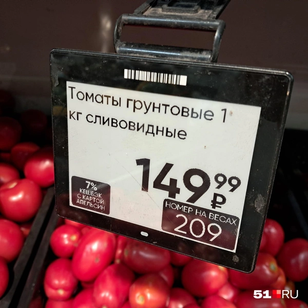 Источник: Дмитрий Артеменко / 51.RU