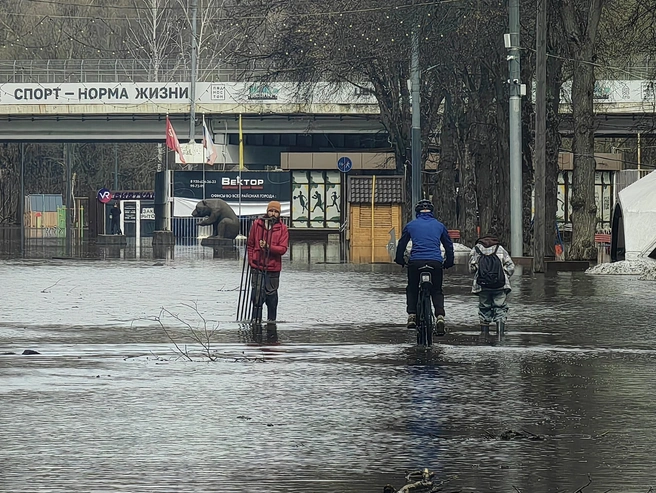 Медведя не затопило | Источник: Кристина Мельникова / YA62.RU