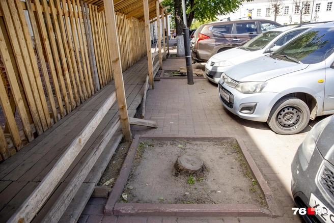 Преобладание зелени в городе благотворно сказывается на психическом здоровье людей | Источник: Александра Савельева