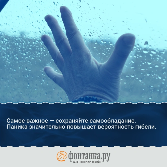 Источник: «Фонтанка.ру»