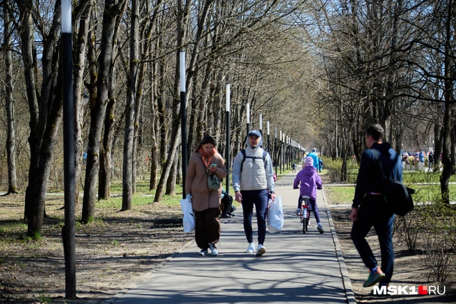 Благоустроенные улицы Звездного городка  | Источник: Дмитрий Толстошеев / MSK1.RU