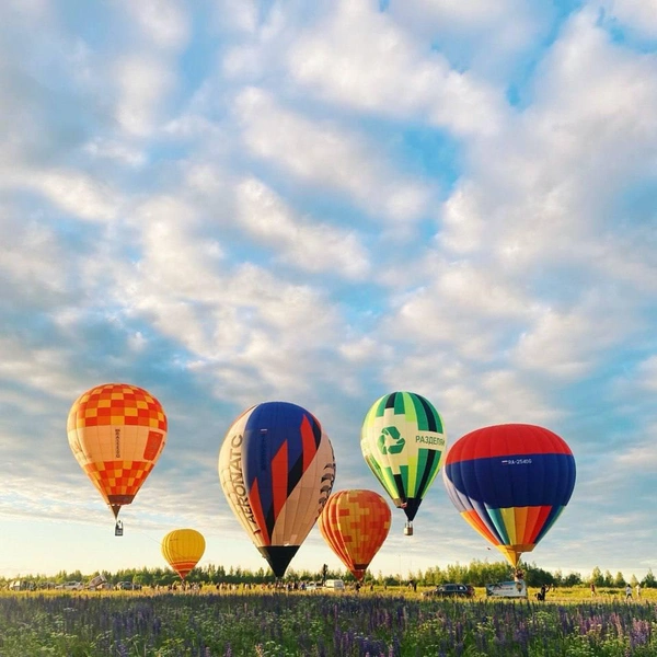 Источник: Александра Федотова