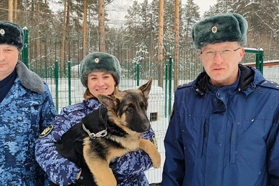 На Урале вырастили щенков для службы в ГУФСИН