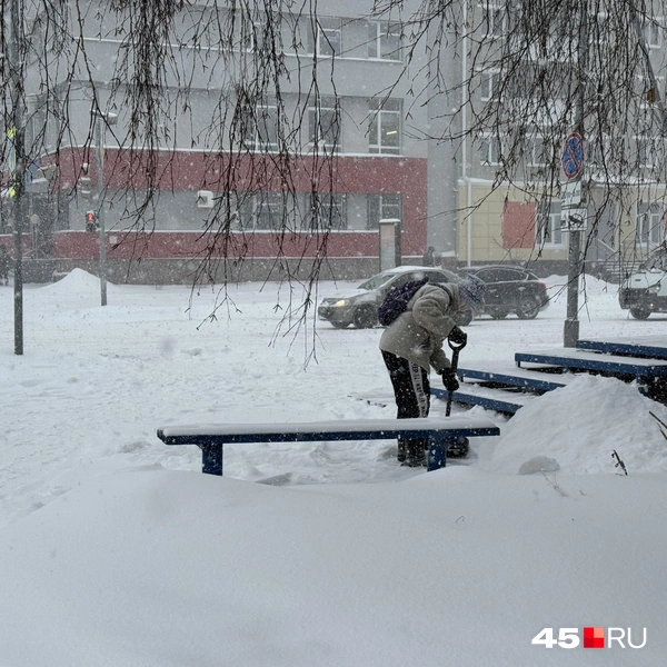 Источник: Юлия Король / 45.RU