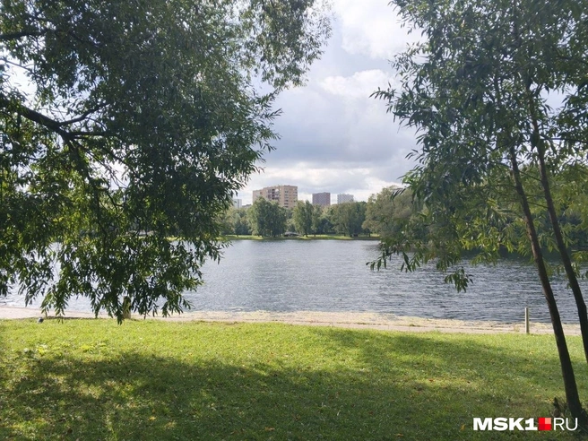 В центре парка находится каскад из прудов | Источник: Арина Майорова / MSK1.RU