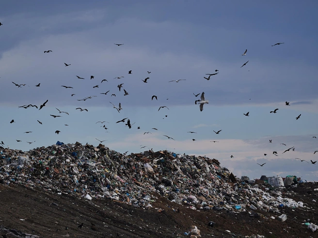 МУП «САХ» с 2024 года исполняет обязанности регионального оператора по обращению с твёрдыми коммунальными отходами. | Источник: Александр Ощепков / NGS.RU