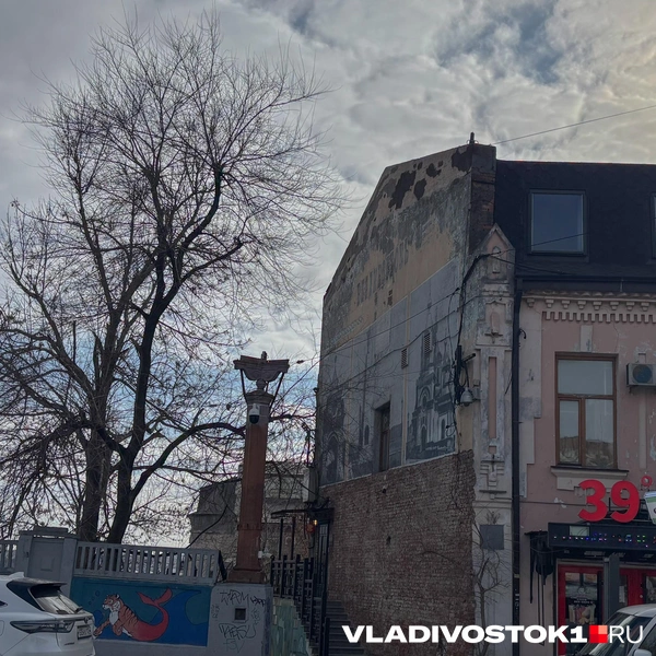 Источник: Елена Буйвол / VLADIVOSTOK1.RU