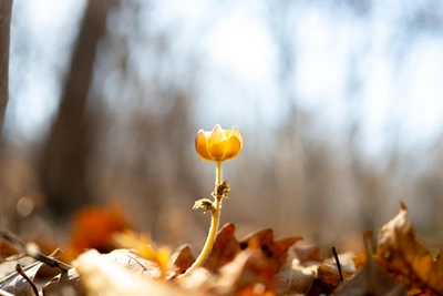 Погода в Приморье в субботу: сюрприз вместо шашлыков
