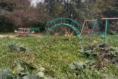 В центре Челябинска детскую площадку затянуло бурьяном