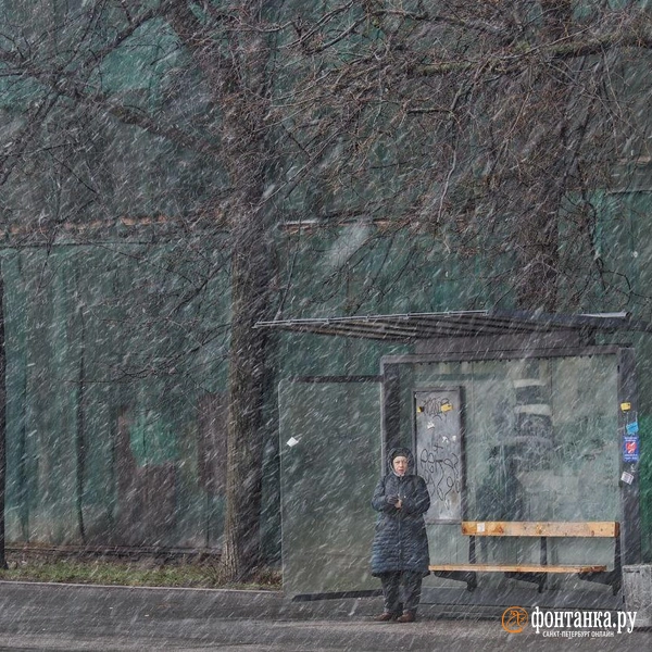 Источник: Михаил Огнев / «Фонтанка.ру»