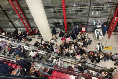 Прокуратура проверит аэропорты Москвы из-за сбоев