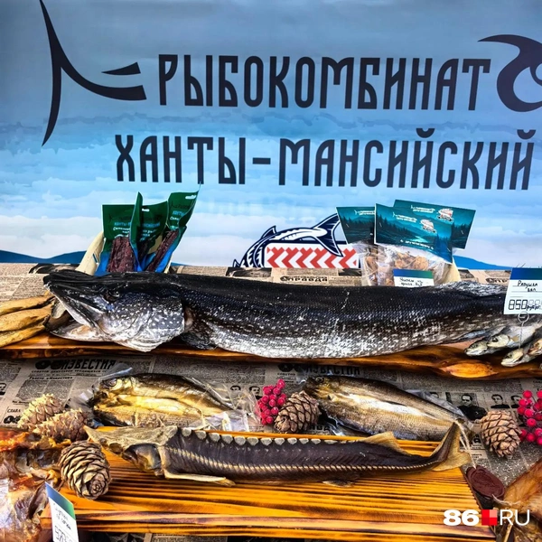 Источник: Анастасия Шевякова / 86.RU