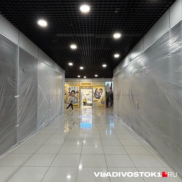 Источник: Елена Буйвол / VLADIVOSTOK1.RU