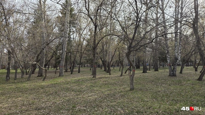 Источник: Алёна Кисель 
