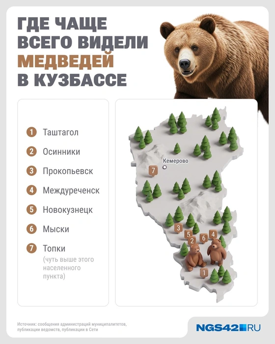 Источник: Городские медиа / NGS42.RU