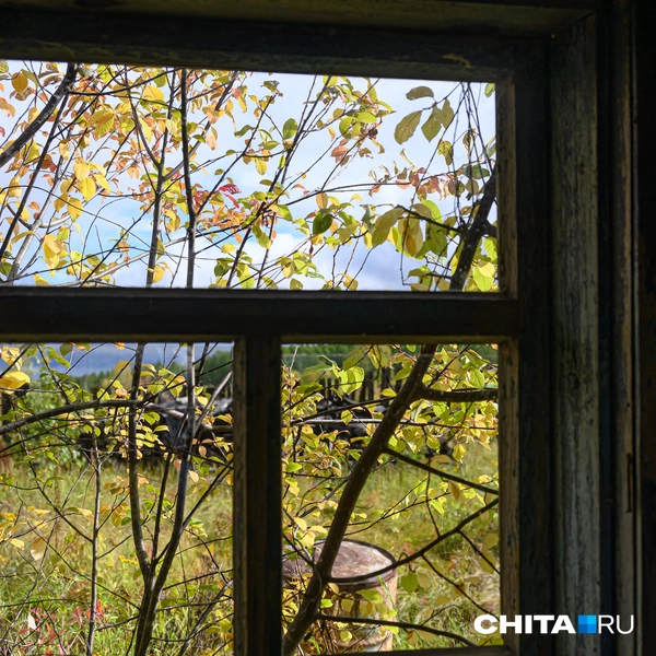 Источник: Олег Фёдоров / CHITA.RU