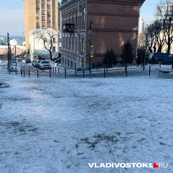 Источник: Елена Буйвол / VLADIVOSTOK1.RU