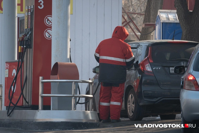 Рост не превышает 30 копеек | Источник: Елена Буйвол / VLADIVOSTOK1.RU