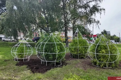 На перекрестке Горького и Пекинки установят композицию с туями в куполах