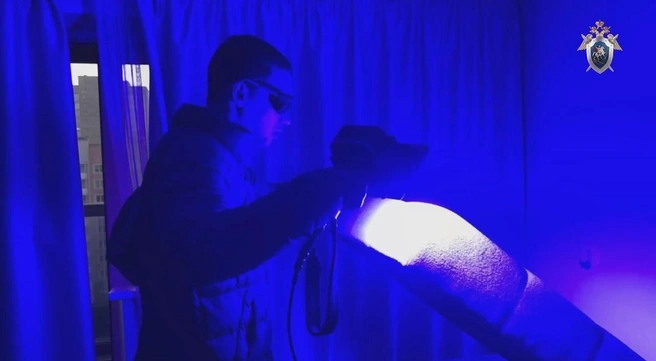 RT: подозреваемая в убийстве дочери в Челябинске могла прожить с телом в диване больше недели | Источник: СК Челябинской области