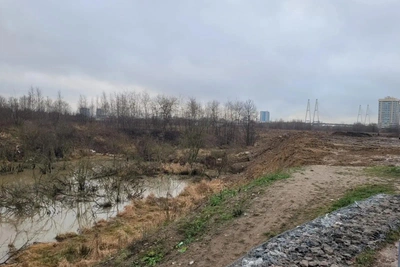 Росприроднадзор рассчитает ущерб реке Утке в Петербурге