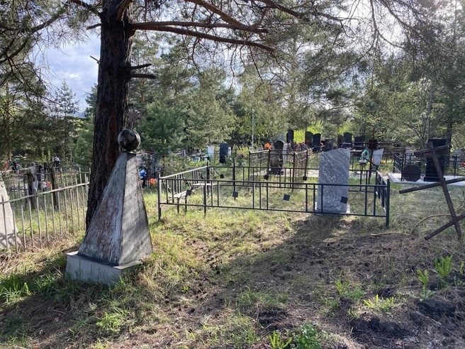 Памятник потеснило дерево | Источник: Ирина Господаренко / NGS22.RU