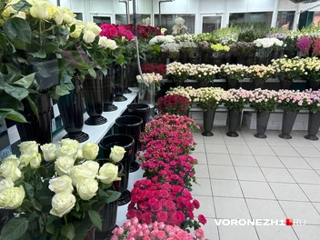 Источник: Мария Мишукова / Voronezh1.ru
