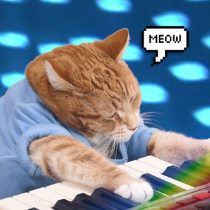 Умер кот-пианист, ставший мемом
