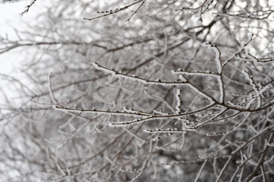 Холода в Ростовской области: прогноз на 16 декабря