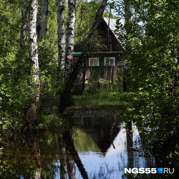 Откуда идет вода, никто не знает | Источник: Евгений Софийчук / NGS55.RU