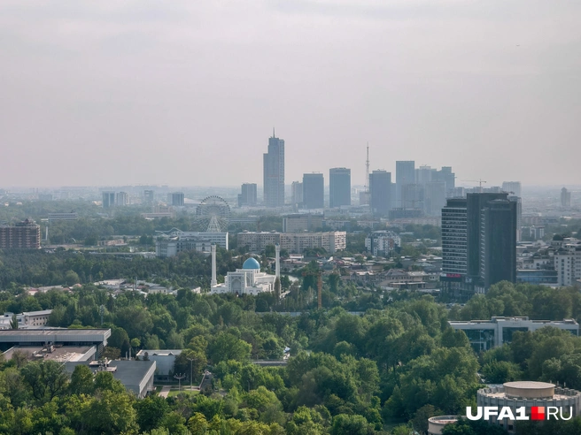 Ташкентские виды прекрасны | Источник: Булат Салихов / UFA1.RU