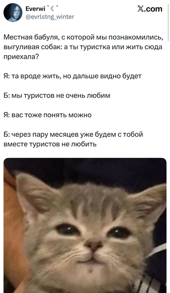 Источник: X (Twitter)