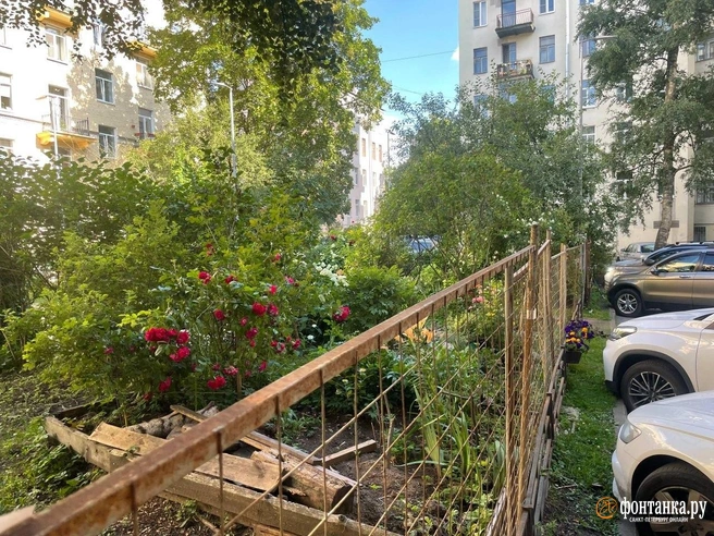 Вокруг сада на Гаванской установили забор. Жители все еще сомневаются, что благоустройство не погубит местный оазис | Источник: Читательница «Фонтанки» Ольга