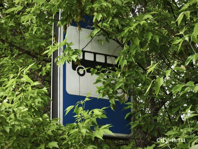 Источник: www.city-n.ru