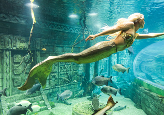 Подводное шоу русалочек в Океанариуме
