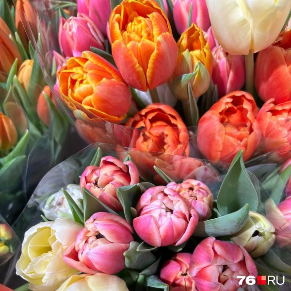 Ярославцы могут выбрать тюльпаны на свой вкус | Источник: Ксения Ткаченко / 76.RU