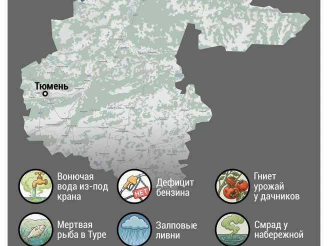 Источник: Дмитрий Гладышев / 72.RU