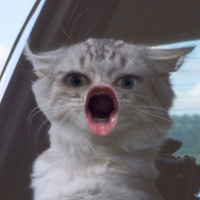 Аватарка LisAna